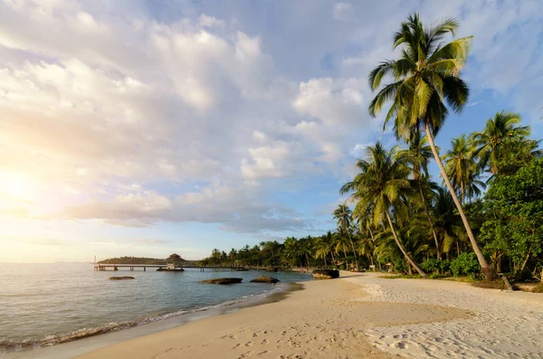 Deniz dalgaları, hindistan cevizi palmiyeleri ve inanılmaz 