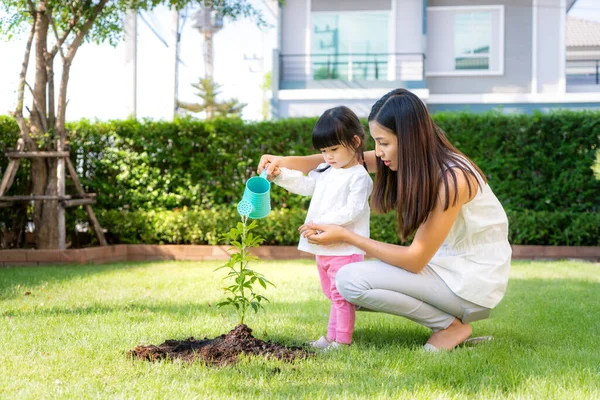 Asian family mother and kid daughter plant sapling tree and watering outdoors in nature spring for reduce global warming growth feature and take care nature earth. People kid girl in garden background