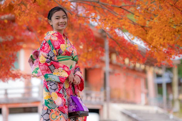 在日本京都 穿着日本和服的美丽的亚洲年轻女子和秋天的红叶 日本旅游 自然生活或景观游览最多的旅游景点概念 — 图库照片