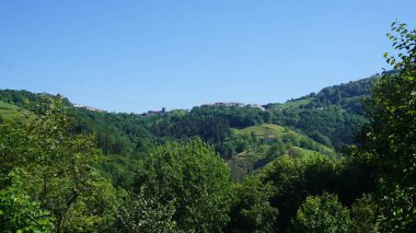 Yeşil orman ve dağ