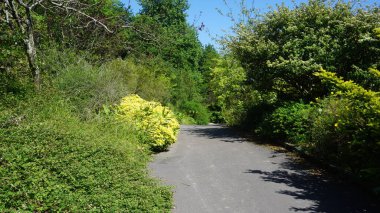 Güzel bir parktaki patika