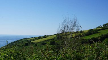 Denize ve dağlara bak.