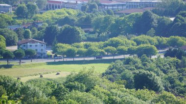 Ağaçlar yeşil çim