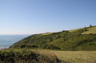 İspanya 'nın Bask ülkesindeki Zarautz dağlarındaki arazi ve ağaçlar.