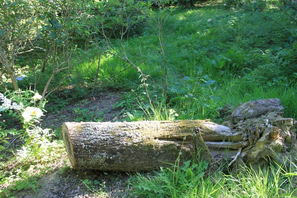 Landelijk Landschap Baskenland — Stockfoto