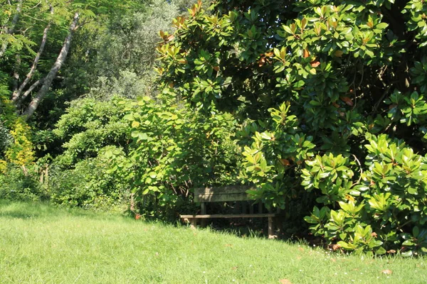 Natuurlijk Landschap Met Bomen Planten Baskenland — Stockfoto