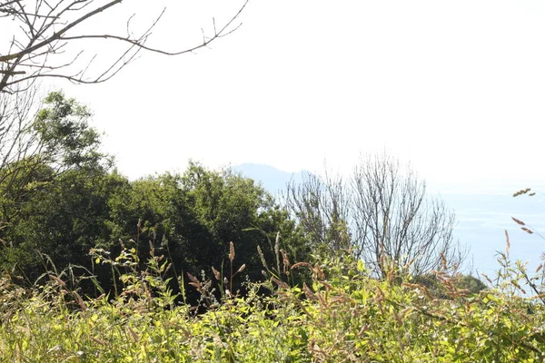 Landschaft Aus Feldern Und Bäumen Den Bergen Von Zarautz Baskenland — Stockfoto