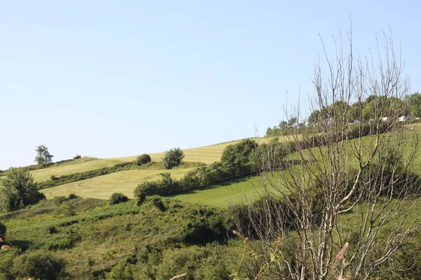 Landschaft Aus Feldern Und Bäumen Den Bergen Von Zarautz Baskenland — Stockfoto