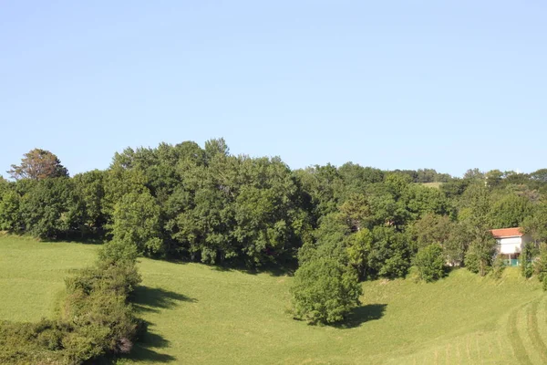 西班牙巴斯克地区Zarautz山区的田野和树木景观 — 图库照片