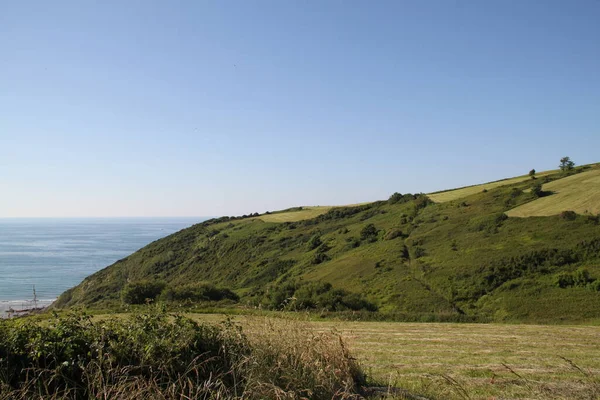 Landschaft Aus Feldern Und Bäumen Den Bergen Von Zarautz Baskenland — Stockfoto