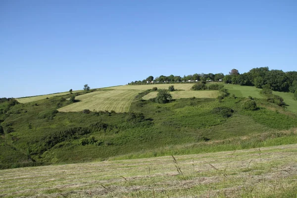 Paisaje Campo Árboles Las Montañas Zarautz País Vasco España —  Fotos de Stock