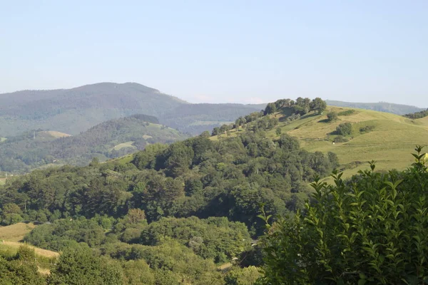 西班牙巴斯克地区Zarautz山区的田野和树木景观 — 图库照片