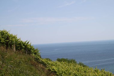 açık hava manzarasının resimsel görüntüsü