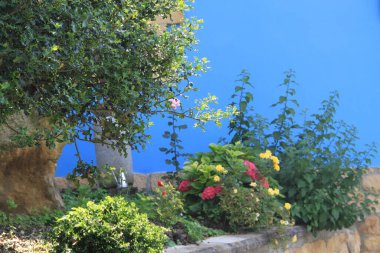 Doğanın güzel manzarası