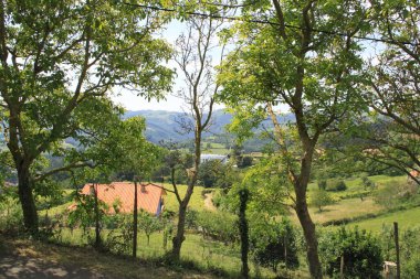 Parkın güzel manzarası. Doğa