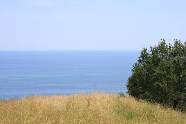 landscape with sea coast in summer