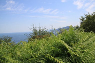 Denizdeki dağların manzarası