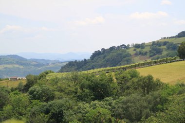 landscape of the mountain and the trees on a sunny morning. view from drone