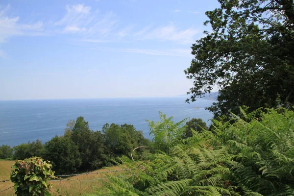 Havskusten Medelhavet — Stockfoto