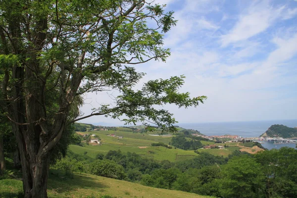 Paisaje Del Puerto Getaria País Vasco España — Foto de Stock