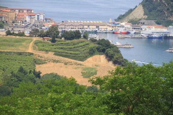 Skyline Van Getaria Stad Baskenland Spanje — Stockfoto