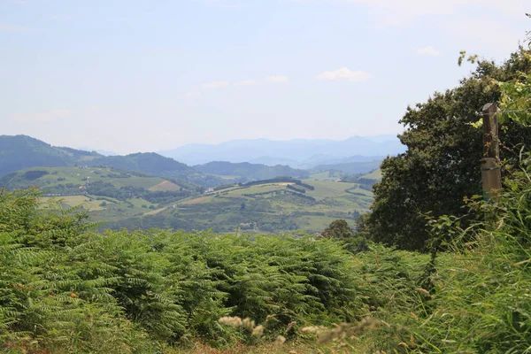 Blick Auf Berge Mit Grünem Gras Und Berg Blauer Himmel — Stockfoto