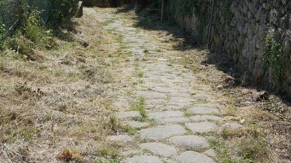 Eski Roma Yolu Camino Santiago Nun Bir Parçası Zarautz Bask — Stok fotoğraf