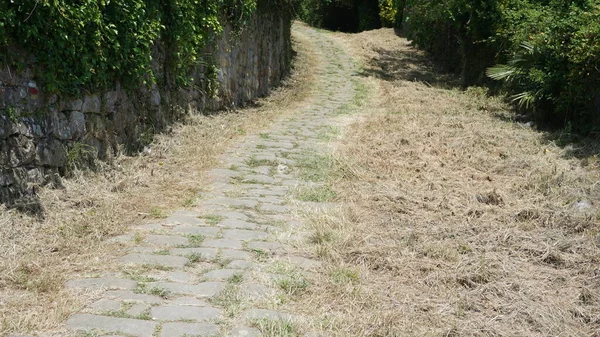 Stará Římská Silnice Část Camino Santiago Zarautz Baskicku Esapaa — Stock fotografie