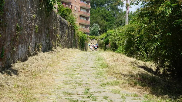 Antigua Carretera Romana Parte Del Camino Santiago Zarautz País Vasco — Foto de Stock