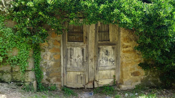 Vieja Puerta Madera Una Pared Piedra Cubierta Vegetación —  Fotos de Stock