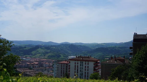 スペインのバスク地方のブドウ畑のある丘からサラウツの街の風景 — ストック写真