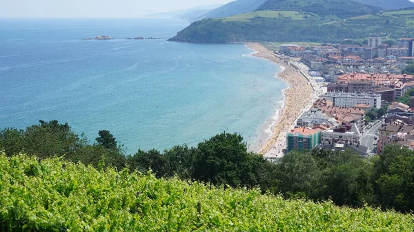 Paisaje Playa Zarautz Desde Una Colina Con Viñedos País Vasco — Foto de Stock