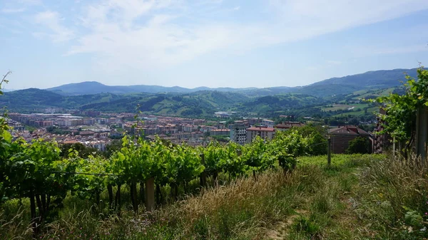 Paisagem Cidade Zarautz Uma Colina Com Vinhas País Basco Espanha — Fotografia de Stock