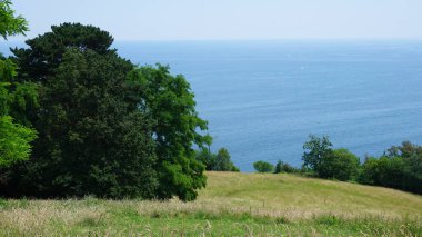 Bask ülkesindeki bir tepenin üzerindeki ağaçların ve ormanların manzarası
