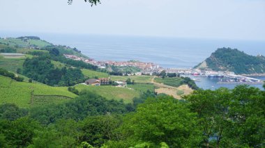 Getaria manzarası ve Bask ülkesindeki çalılıktan görünen liman.
