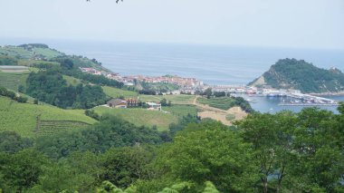 Getaria manzarası ve Bask ülkesindeki çalılıktan görünen liman.