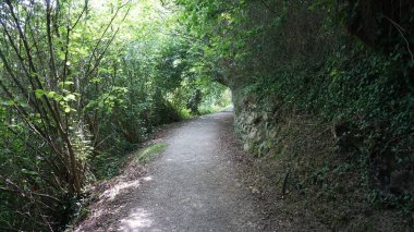 Getaria 'da Bask ülkesinde kırsal bir yolun manzarası