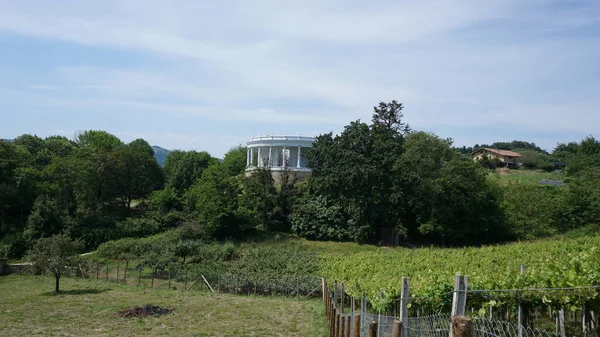 Paesaggio Rurale Con Vigneti Nei Paesi Baschi Spagna — Foto Stock