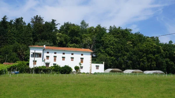 ギプスコア バスク州の農村風景スペイン — ストック写真