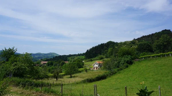 Paesaggio Rurale Gipuzkoa Paesi Baschi Spagna — Foto Stock