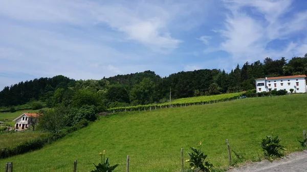 Venkovská Krajina Gipuzkoa Baskicko Španělsko — Stock fotografie