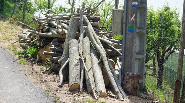 Kışın Kullanılacak Odun Için Ağaç Dalları Kes — Stok fotoğraf