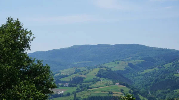 Paesaggio Rurale Gipuzkoa Paesi Baschi Spagna — Foto Stock