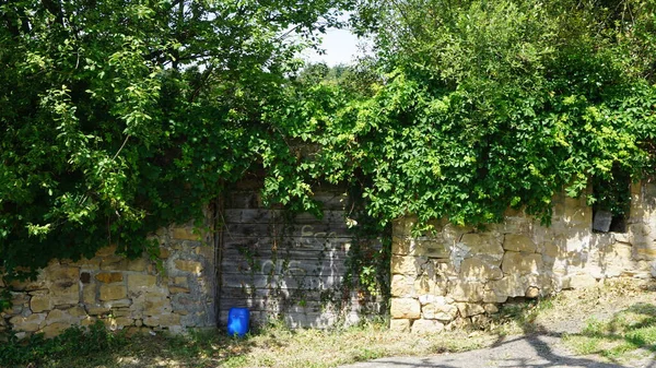 Paesaggio Rurale Gipuzkoa Paesi Baschi Spagna — Foto Stock