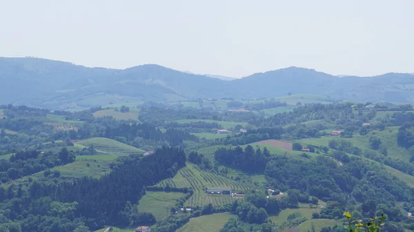 ギプスコア バスク州の農村風景スペイン — ストック写真