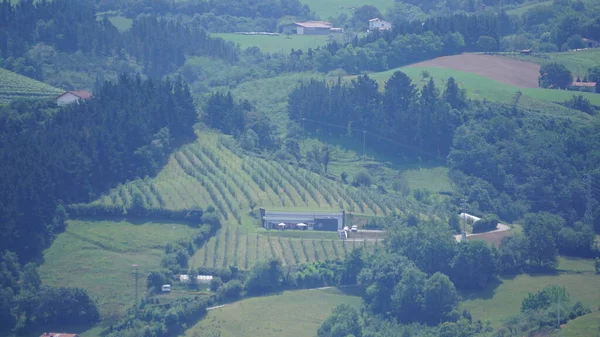 Paesaggio Rurale Gipuzkoa Paesi Baschi Spagna — Foto Stock
