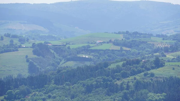 Сільський Краєвид Гіпузкоа Країна Басків Іспанія — стокове фото