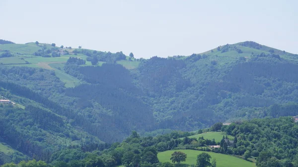 Venkovská Krajina Gipuzkoa Baskicko Španělsko — Stock fotografie