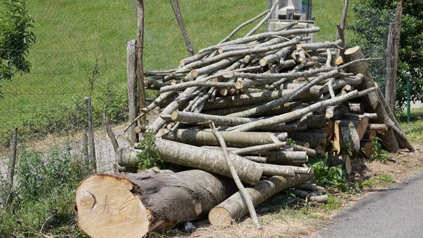 스페인 바스크에 주아의한 농장에서 장작을 구하는 나무들 — 스톡 사진