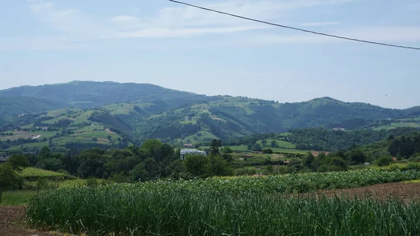 Paisagem Rural Gipuzkoa País Basco Espanha — Fotografia de Stock